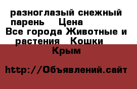 разноглазый снежный парень. › Цена ­ 10 000 - Все города Животные и растения » Кошки   . Крым